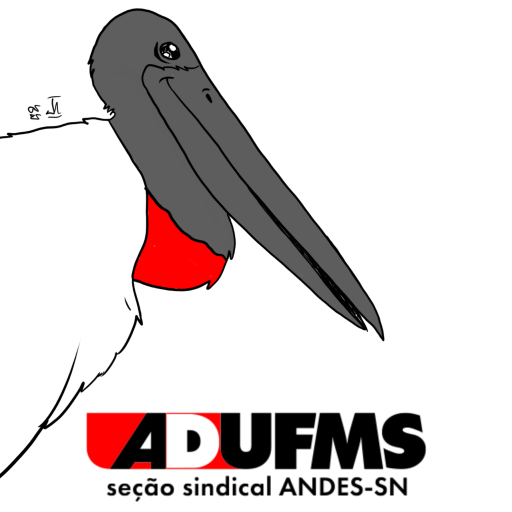 Reunião da Diretoria Executiva da ADUFMS debate impactos da Reforma Administrativa e estrutura da entidade