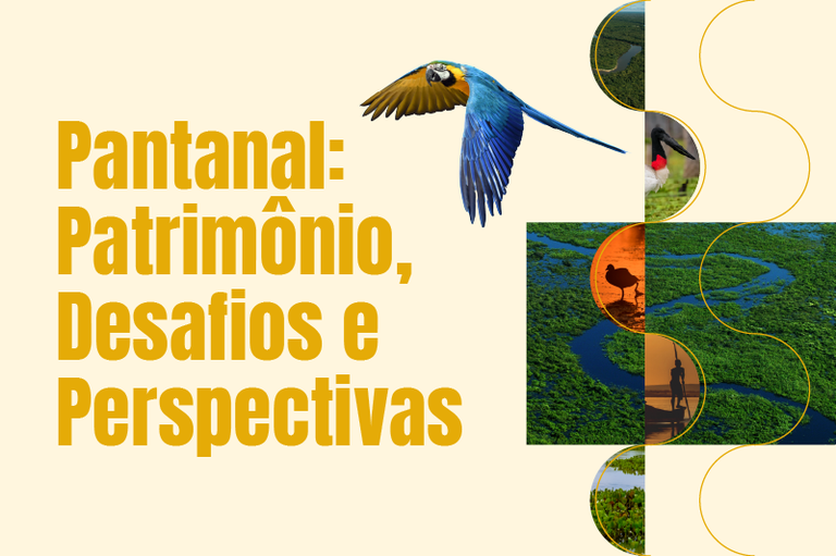 Saberes tradicionais e ciência se unem pela preservação do Pantanal no Dia Mundial do Meio Ambiente
