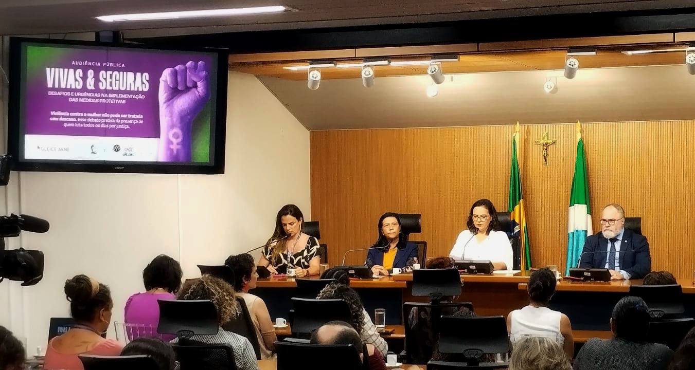 Audiência pública na ALEMS debate desafios na aplicação de medidas protetivas e reúne instituições e movimentos sociais